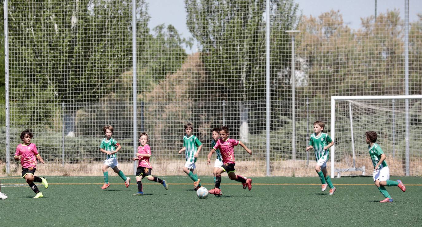 Fotos: El fútbol benjamín de Valladolid se enfrenta en la VIII Betis Cup 2022