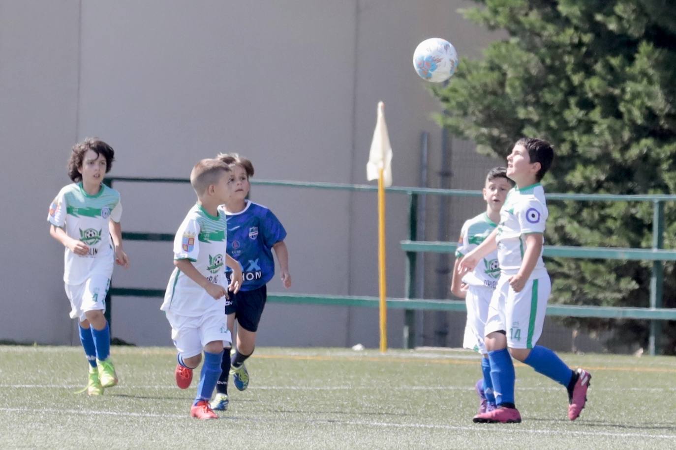 Fotos: El fútbol benjamín de Valladolid se enfrenta en la VIII Betis Cup 2022