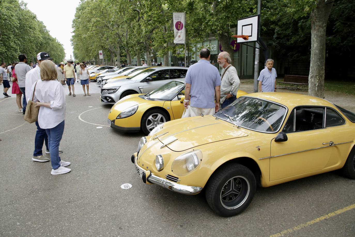 Fotos: Valladolid acoge una muestra de coches de Renault