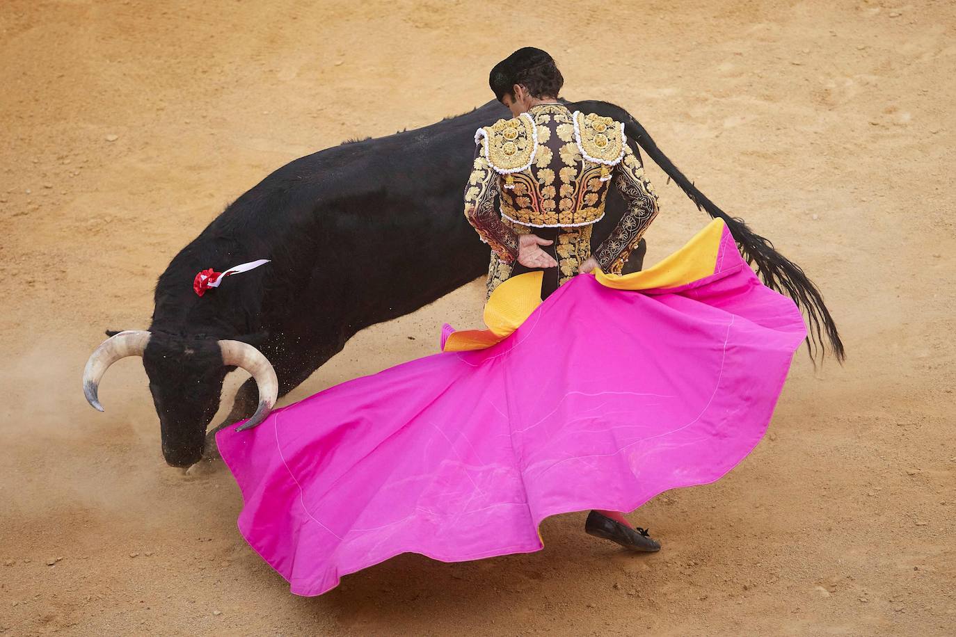 Revolera de José Tomás en la plaza de toros de Jaén. 