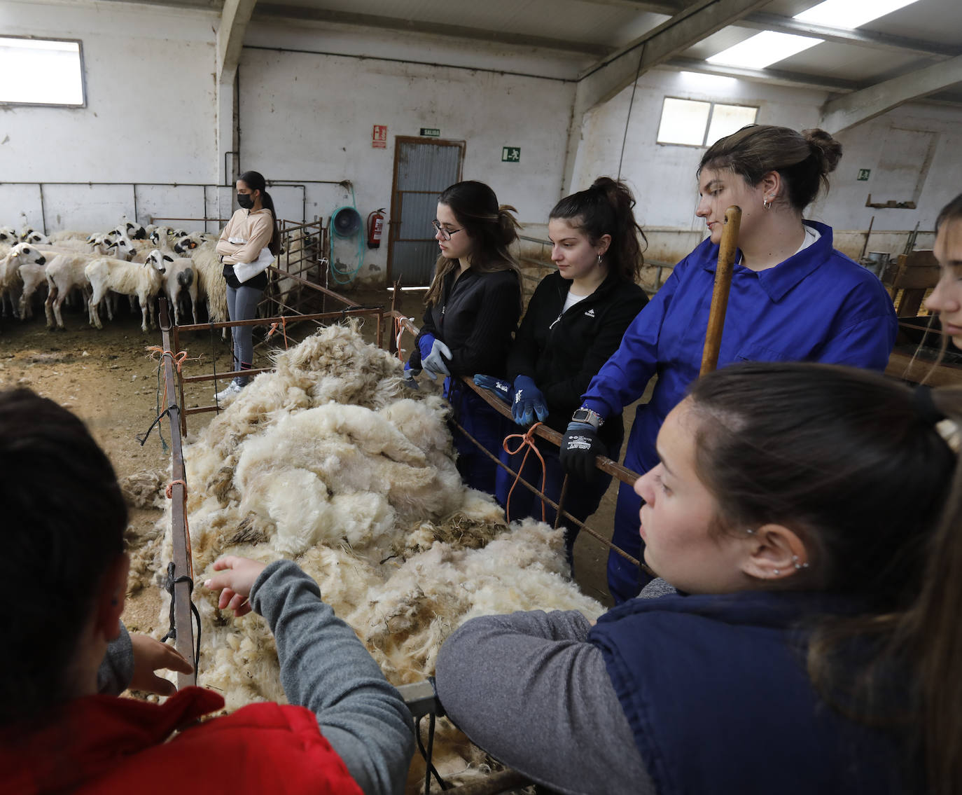 La Escuela de Viñalta busca opciones formativas útiles para ofrecer una salida laboral