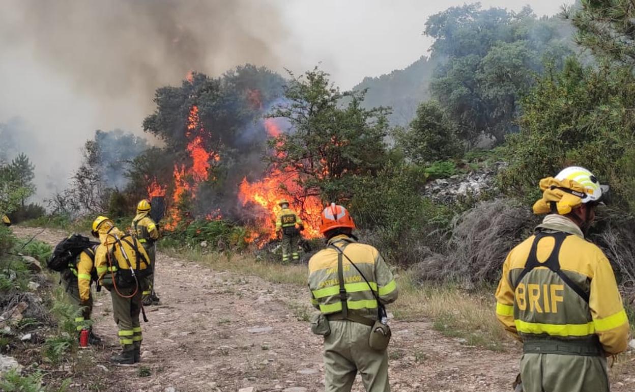 Incendio en la Sierra de la Culebra (Zamora): 250 efectivos trabajan en los fuegos de nivel 2