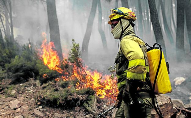 El fuego de Zamora, el segundo más grave de la historia en Castilla y León