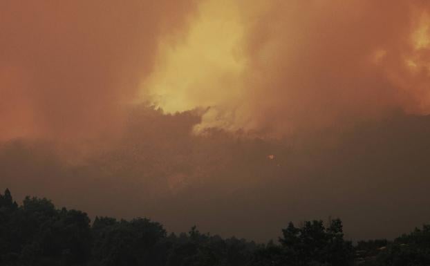 Incendio en la Sierra de la Culebra, Zamora. 