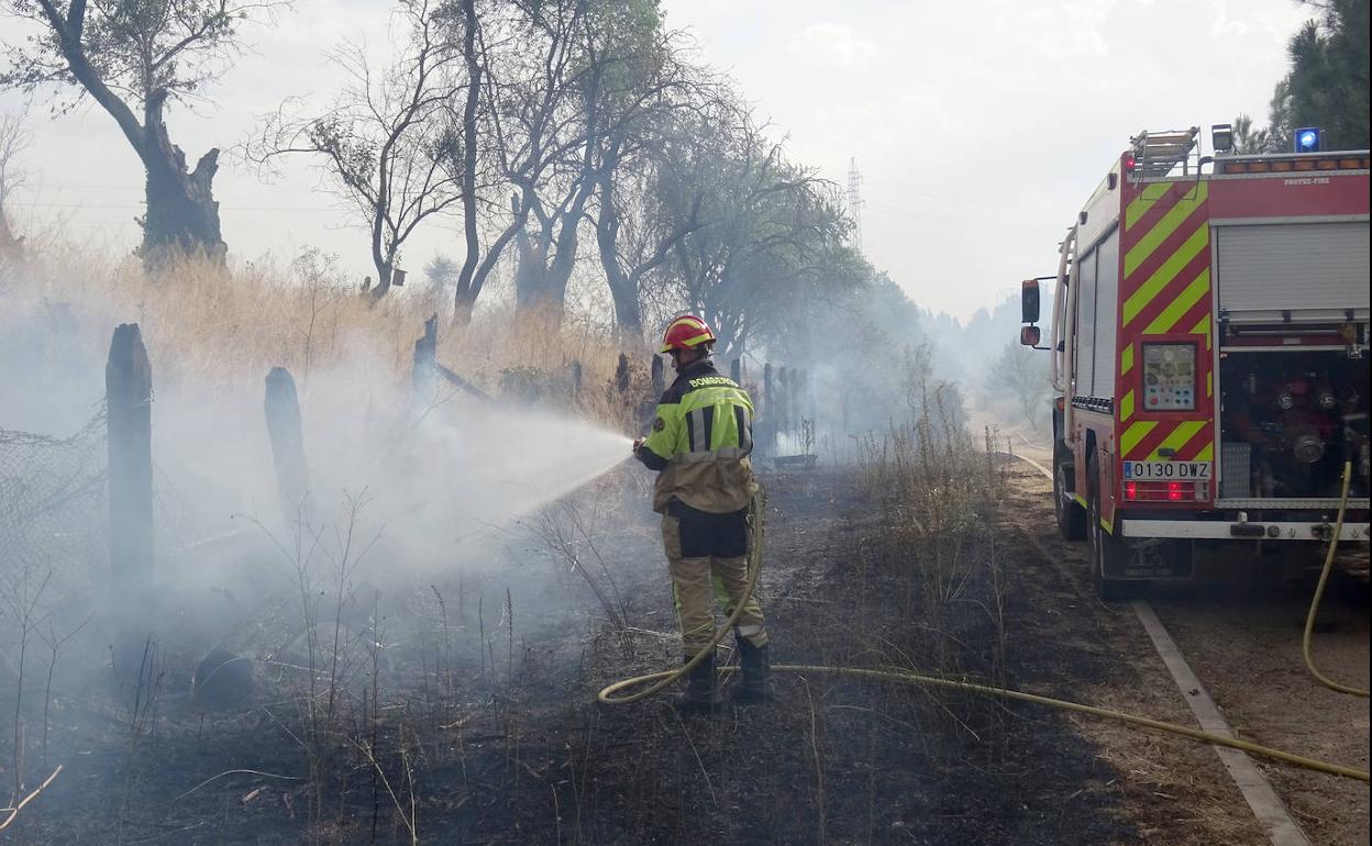 Labores de extinción en la finca que rodea la casa ocupada junto a la carretera de las Arcas Reales. 