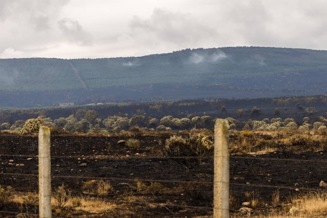 Fotos:Vecinos de Ferreras de Arriba relatan con tristeza el devastador incendio de la Sierra de la Culebra