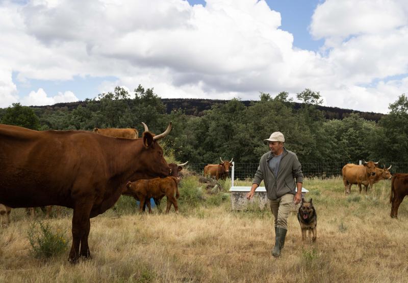 «Hoy he ido a ver las fincas que tenía y se me ha caído el alma a los pies»