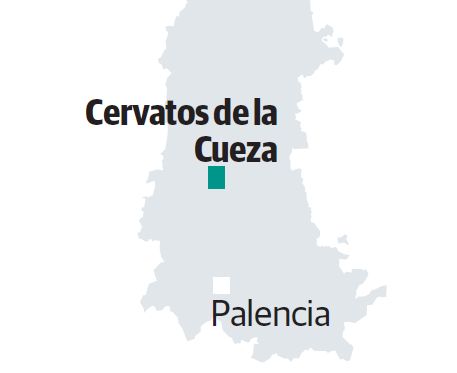 Imagen -