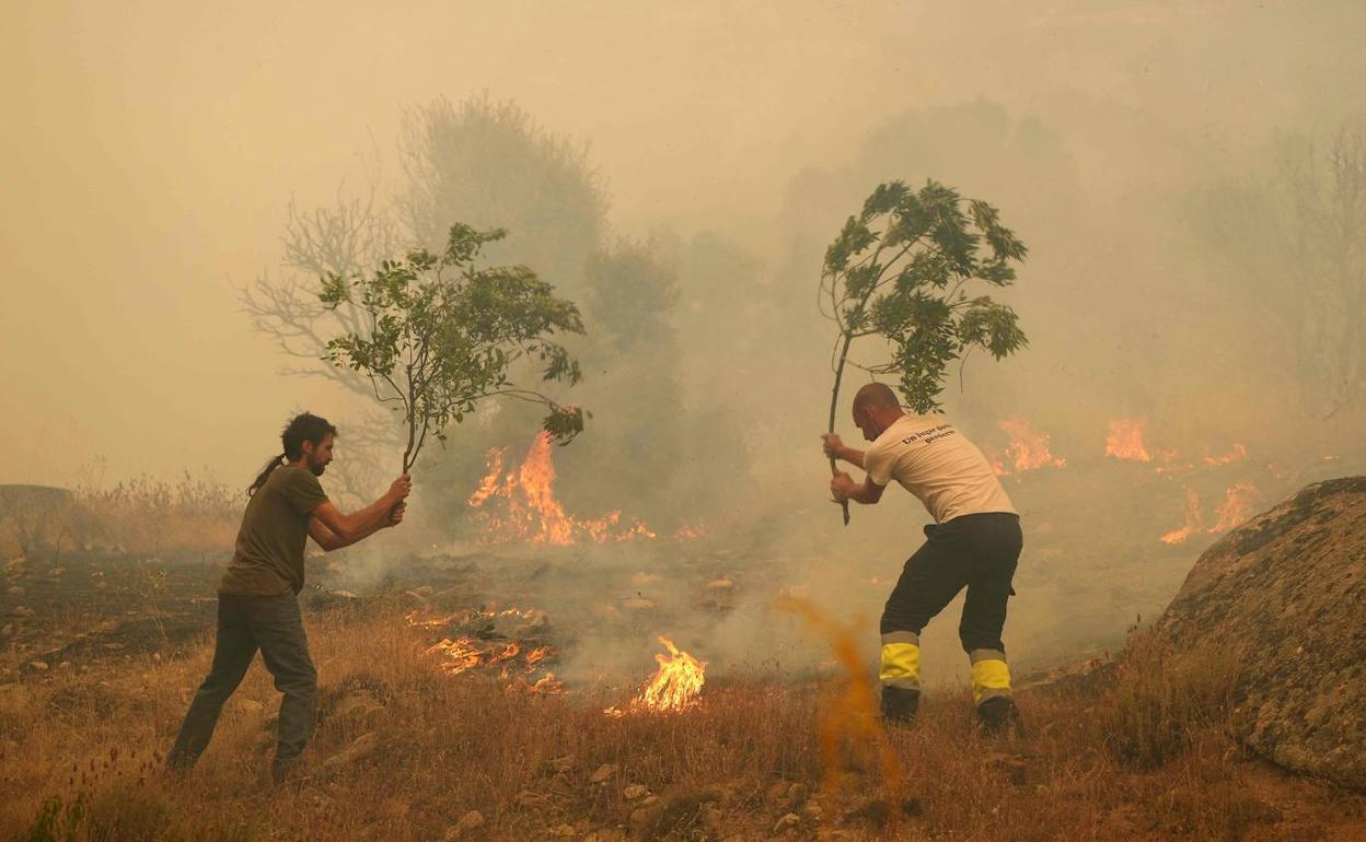 Dos hombres luchan contra el fuego en Navalmoral (Ávila). 