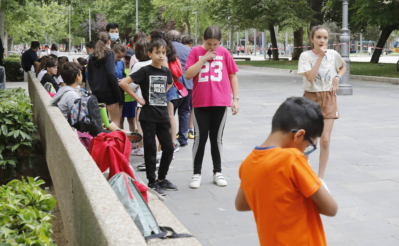 El parque del Salón acoge la prueba solidaria con mercadillo y paellada para todos los alumnos.