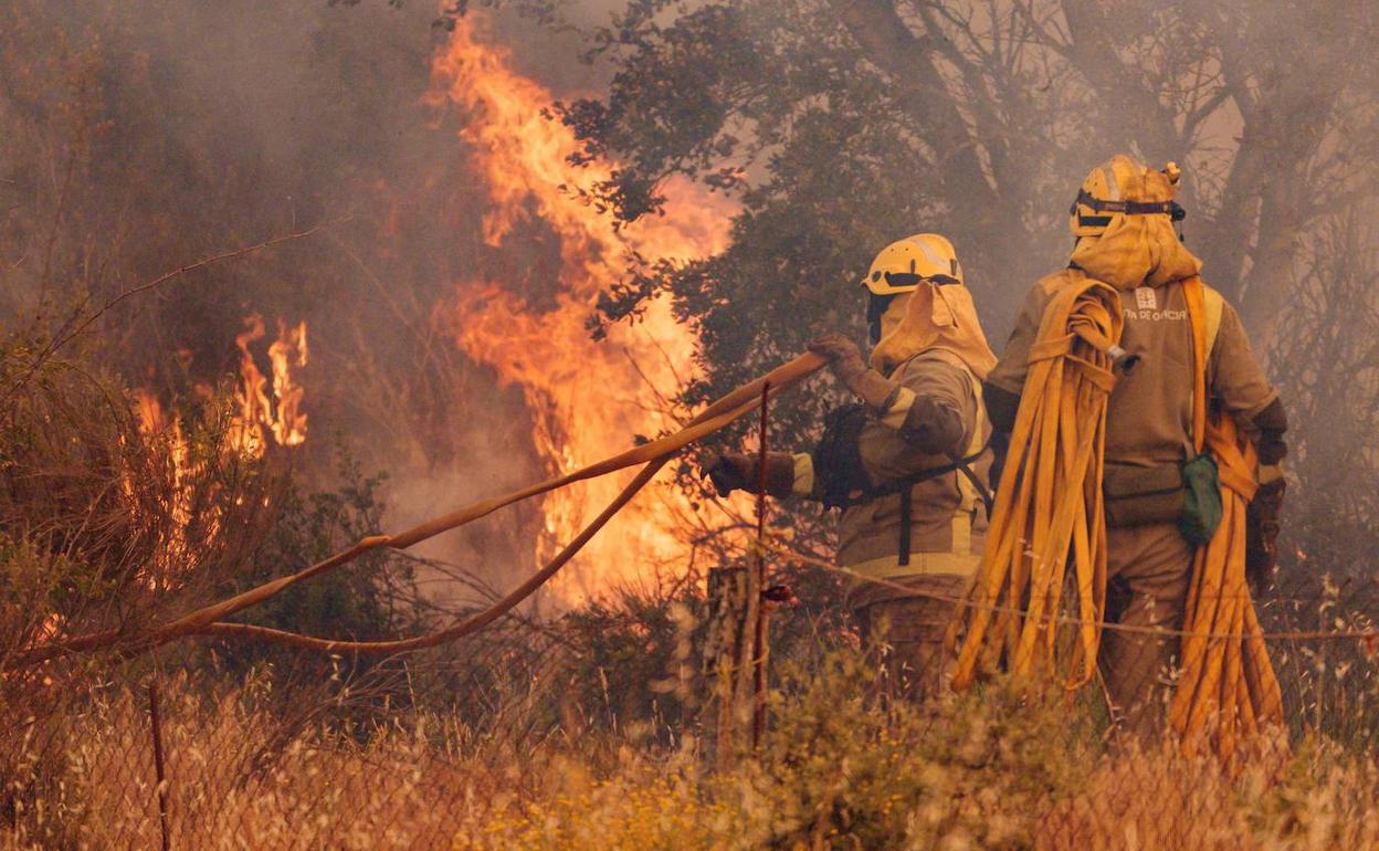 Bomberos en uno de los focos del incendio en Pumarejo, en la Sierra de la Culebra. 