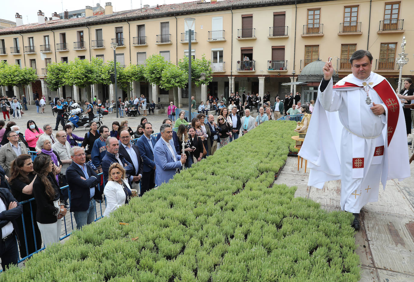 Fotos: Reparto del tomillo de San Juan en Palencia