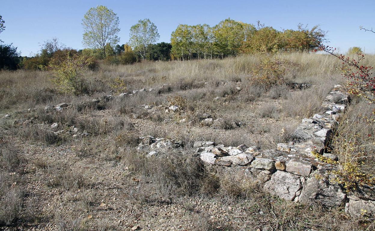 Yacimiento arqueológico. 