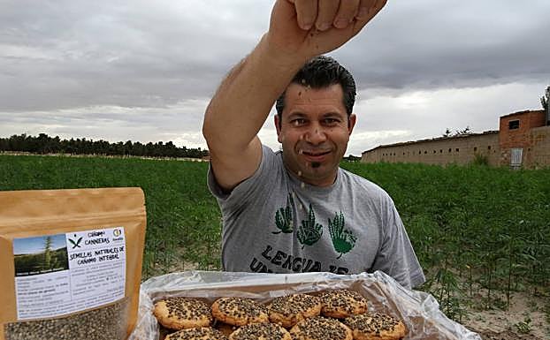 El agricultor Gustavo Galán, con las pastas de cáñamo en su explotación de Nieva.