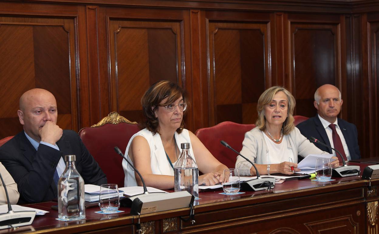 La presidenta de la Diputación, Ángeles Armisén, preside el pleno.