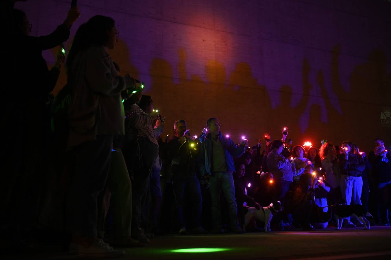 Fotos: Protesta en las Cortes ante la negativa de Vox a iluminar el edificio con los tonos de la bandera del Orgullo LGBTI