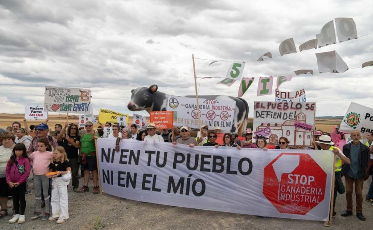 Manifestación en Noviercas