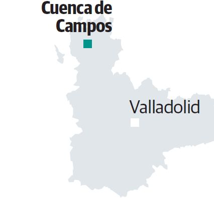 Imagen - 