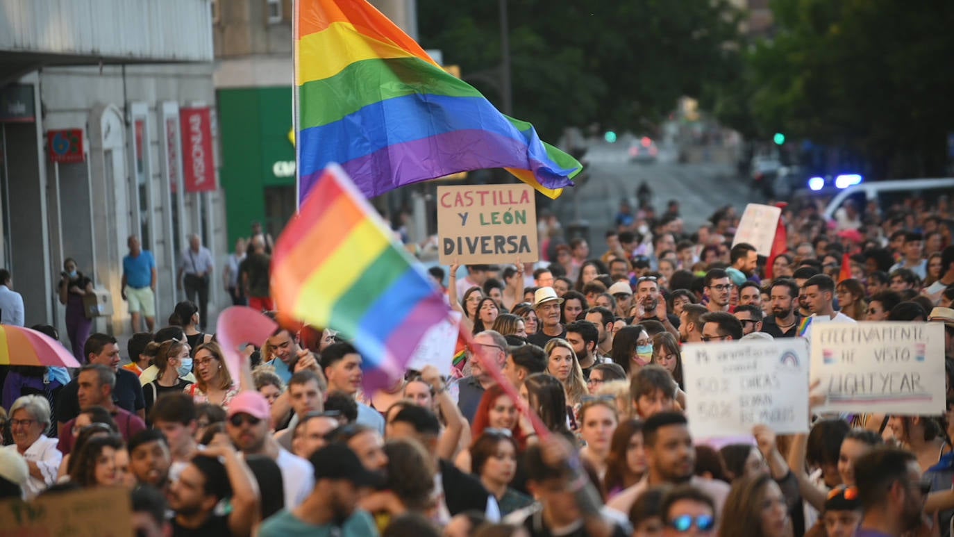 Fotos: Manifestación del Orgullo LGTBI en V