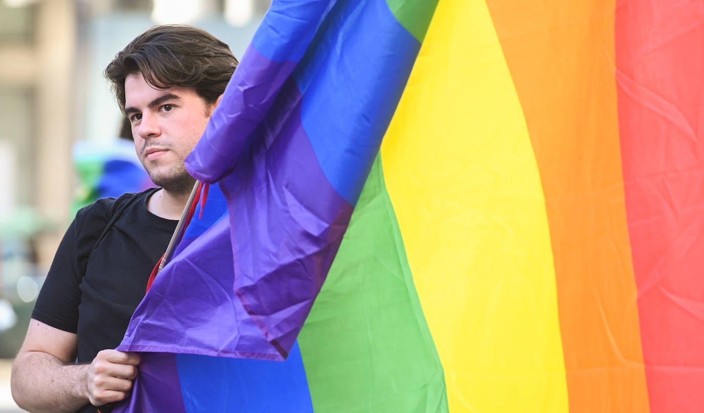 Fotos: Manifestación del Orgullo LGTBI en V