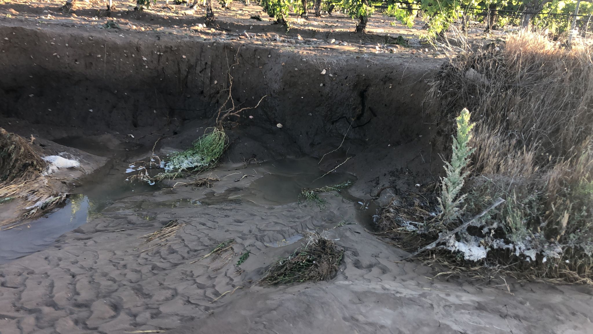 Fotos: El nuevo reventón de la tubería del canal de Riaza, en imágenes