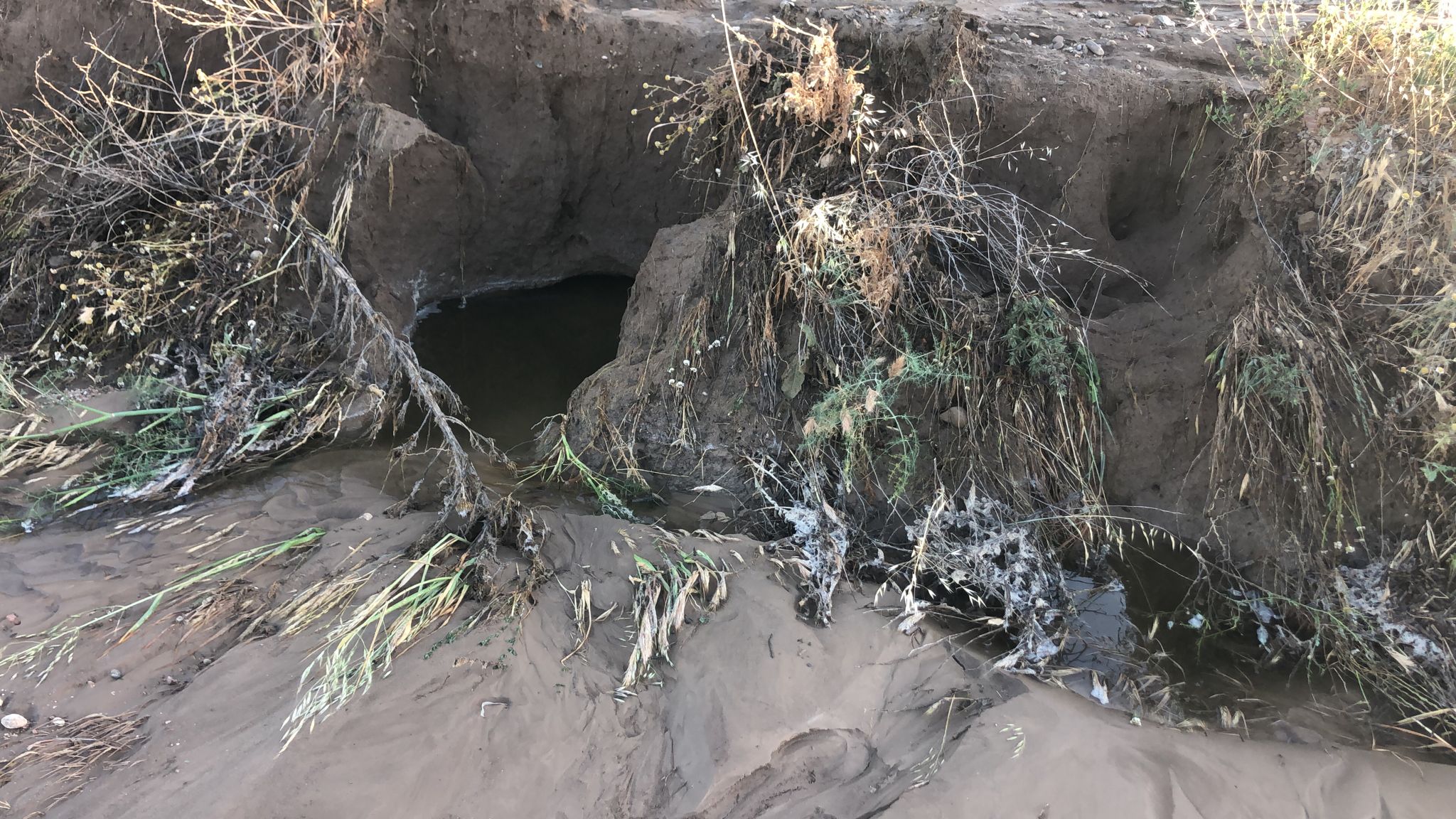 Fotos: El nuevo reventón de la tubería del canal de Riaza, en imágenes