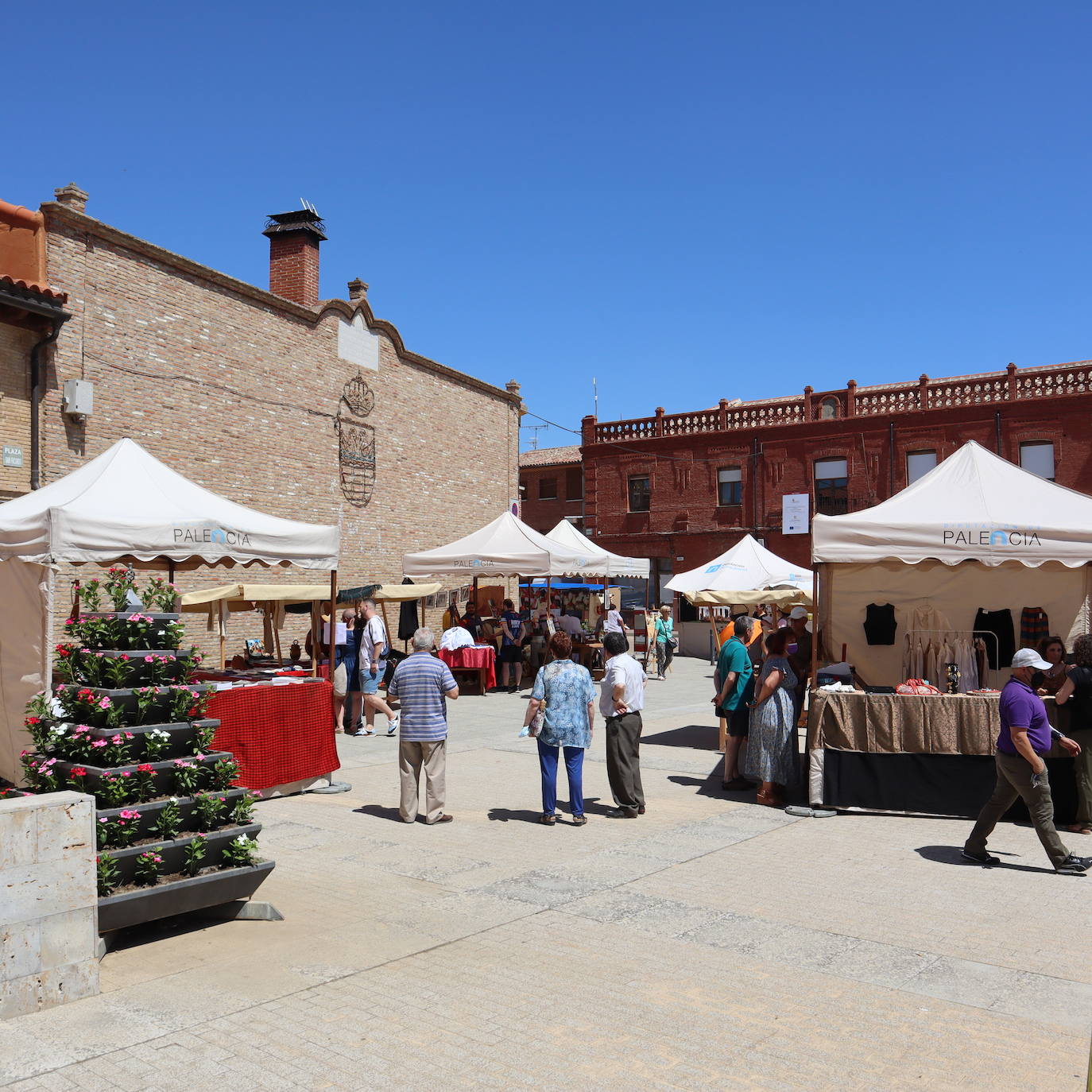 Fotos: Feria de la Tradición en Cisneros