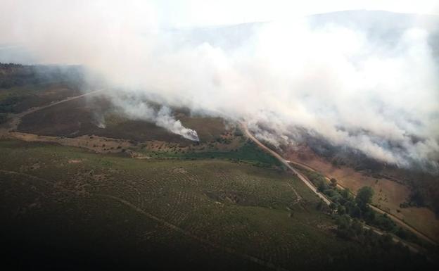 Incendio en Honrubia de la Cuesta.