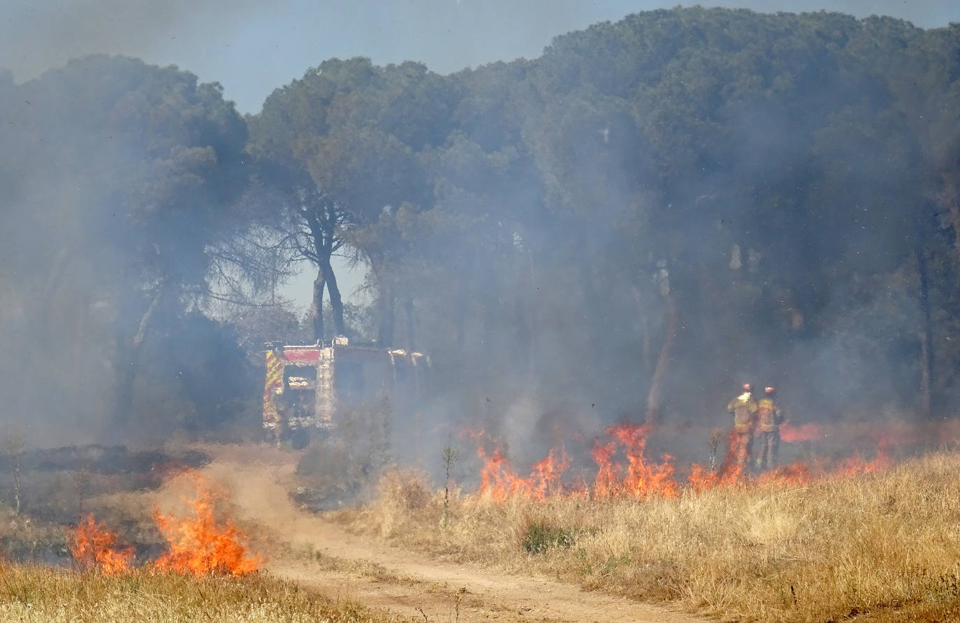 Fotos: El fuego calcina la última chabola de Pinar de Jalón, en Valladolid