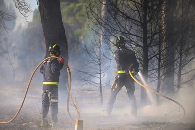 Fotos: Controlado el fuego que amenazó la zona de pinar en Aldeamayor de San Martín