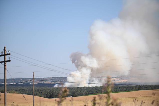 Fotos: Controlado el fuego que amenazó la zona de pinar en Aldeamayor de San Martín