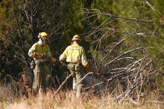 Fotos: Controlado el fuego que amenazó la zona de pinar en Aldeamayor de San Martín