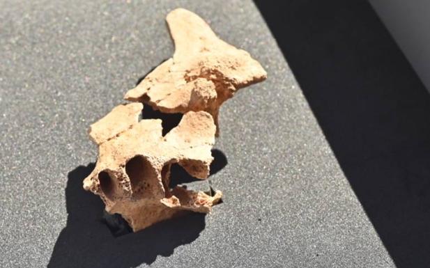 Cara parcial de un homínido hallado en el yacimiento de la Sima del Elefante (sierra de Atapuerca). 