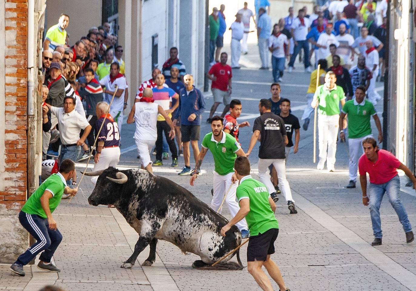 Uno de los últimos encierros celebrados en Cuéllar.