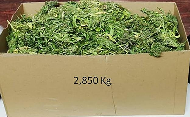 La Policía Local de Palencia interviene 2,8 kilos de marihuana en un vehículo
