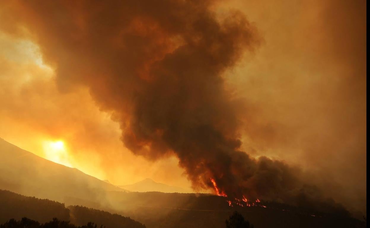 Incendio forestal en el Parque Natural de las Batuecas-Sierra de Francia, en el termino municipal de Monsagro(Salamanca).