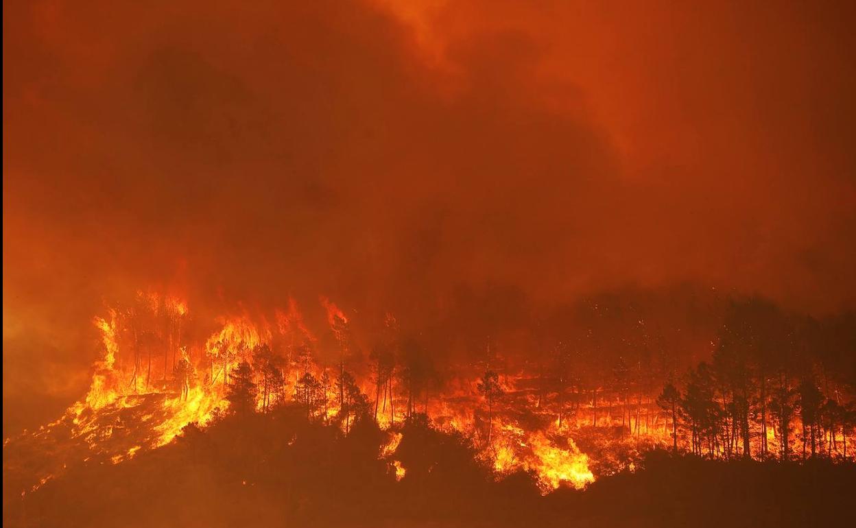 Salamanca: El incendio de Candelario, «difícil de rematar», arrasa con más de 500 hectáreas