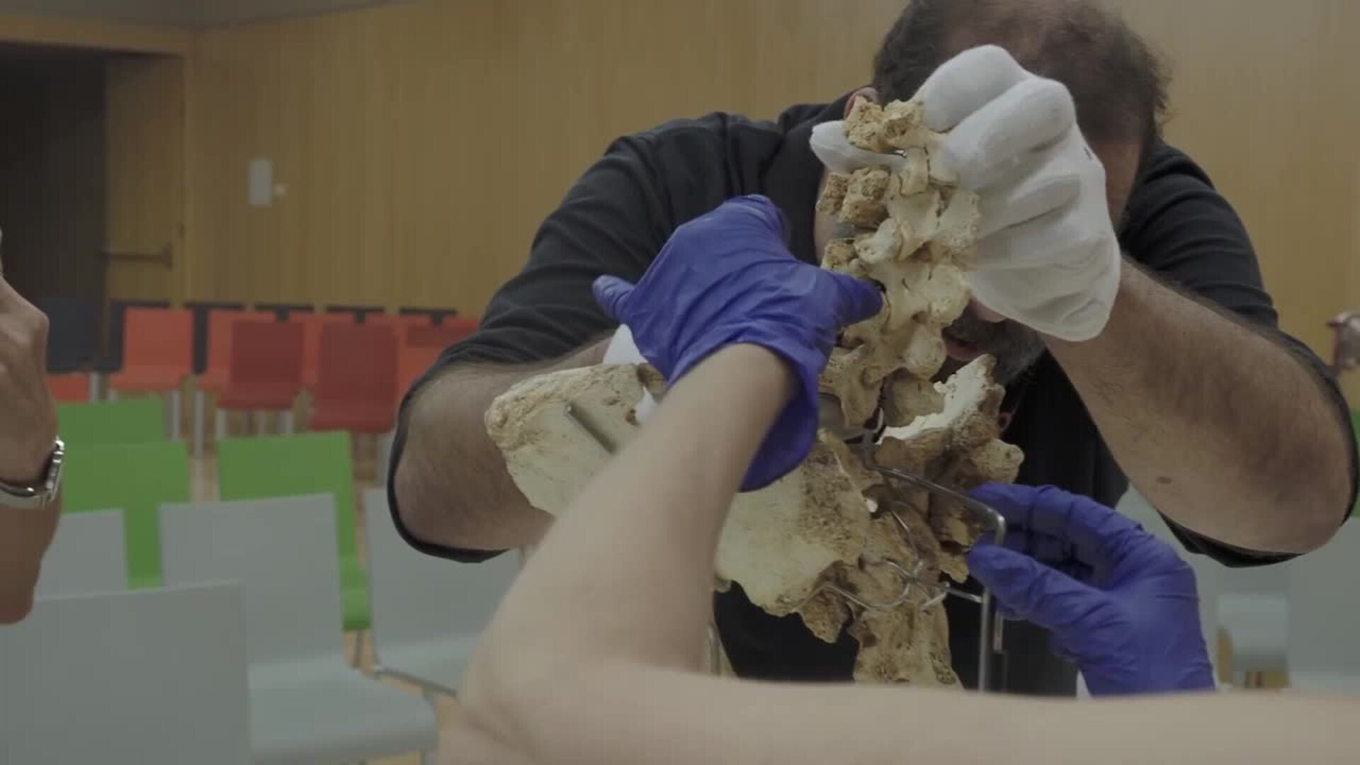 Así es Elvis, el abuelo de Atapuerca, en primer plano