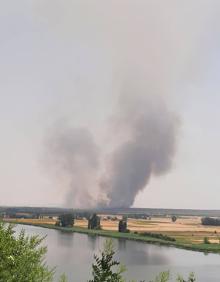 Imagen secundaria 2 - Inmediaciones de la vía calcinadas. A la derecha, columna de humo visible desde Castronuño.