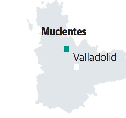 Imagen -