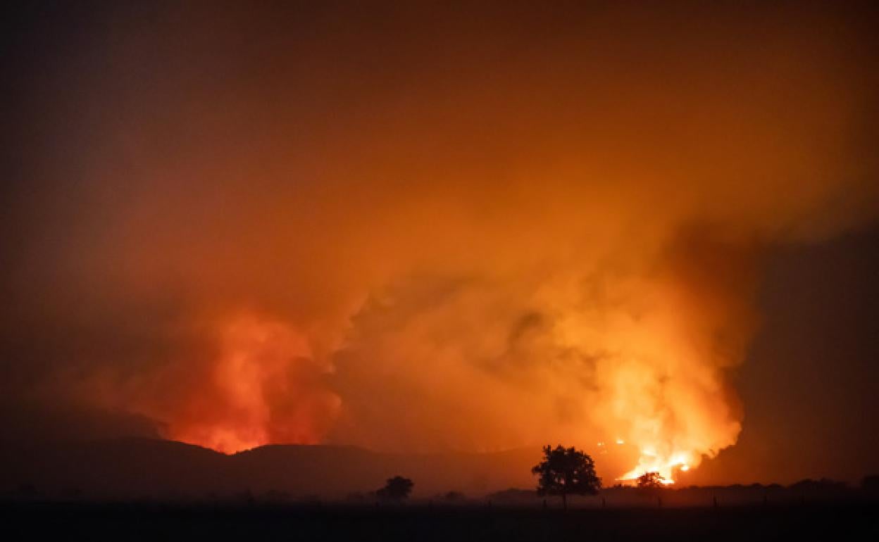 Incendio forestal de Monsagro en el termino municipal de Tenebrón (Salamanca). 