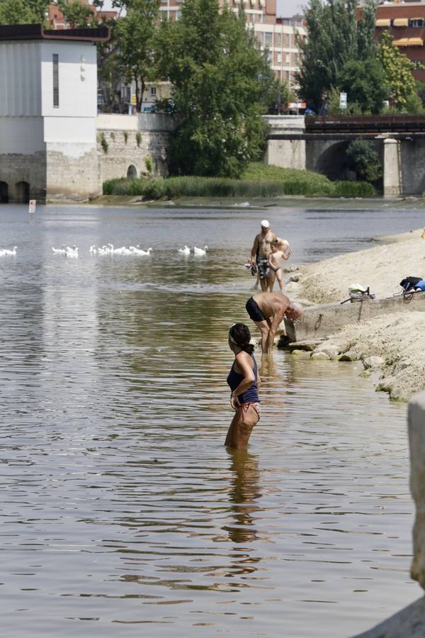 Fotos: El agua del Pisuerga en las Moreras, no apta para el baño