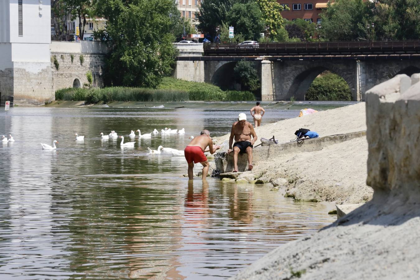 Fotos: El agua del Pisuerga en las Moreras, no apta para el baño