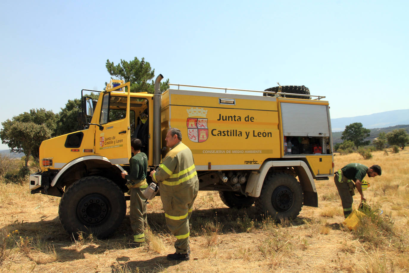 Terreno de pinar en el piedemonte de la sierra calcinado por el fuego declarado el pasado viernes en Navafría. 