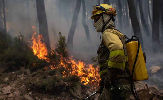 Un brigadista forestal, en el incendio de la Sierra de la Culebra de junio pasado.