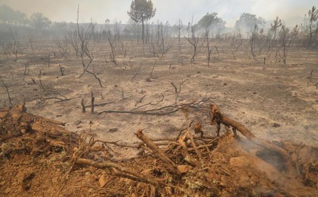 Las llamas engullen a un vecino de Tábara, al que trasladan al Río Hortega de Valladolid