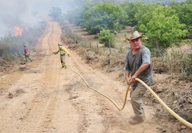 Fotos: El incendio de Losacio en imágenes