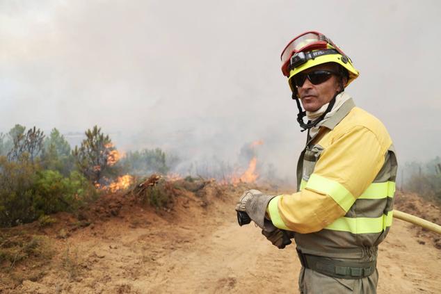 Fotos: El incendio de Losacio en imágenes