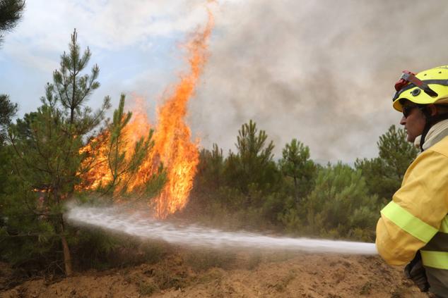 Fotos: El incendio de Losacio en imágenes