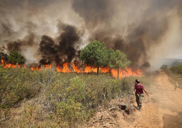 Fotos: El incendio de Losacio en imágenes